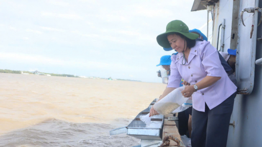 Sóc Trăng: Thả hơn 1,5 triệu con tôm sú về tự nhiên