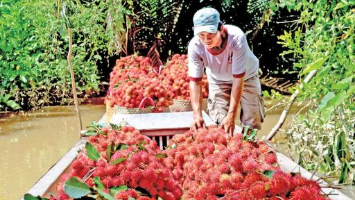 Tiền Giang: Cù lao Tân Phong - vùng đất của những đặc sản