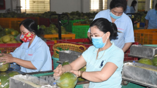 Bến Tre có hơn 71.000 trường hợp được đề xuất hỗ trợ theo Nghị quyết 68