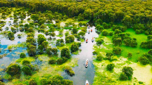 Rừng Tràm Trà Sư mang vẻ đẹp hoang sơ bình dị