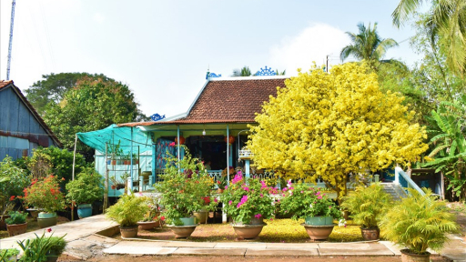 Hóng tết