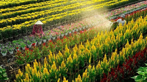 Lạc lối 