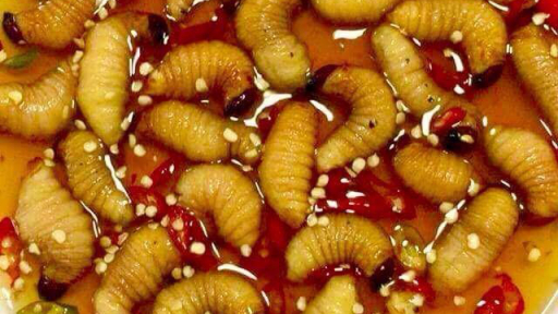 Độc lạ món đặc sản đuông dừa