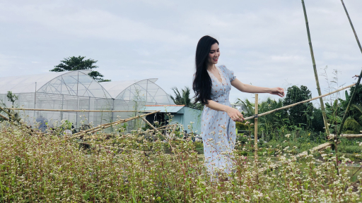 Tam Giác Mạch Farm tái hiện khung cảnh quê giữa lòng Tây Đô