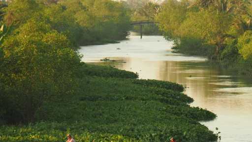 Khám phá xứ cù lao Dài - Vĩnh Long