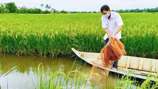 Cà Mau: Sức vóc mới xã ven đô