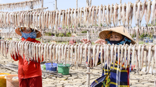 Cà Mau: Sản lượng cá khoai giảm mạnh