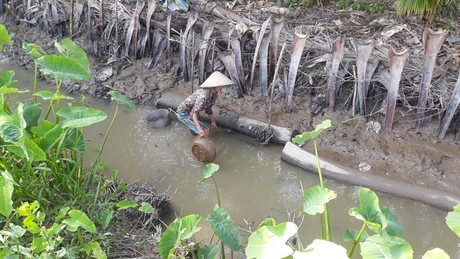 Chuyện quê: Săn cá trê