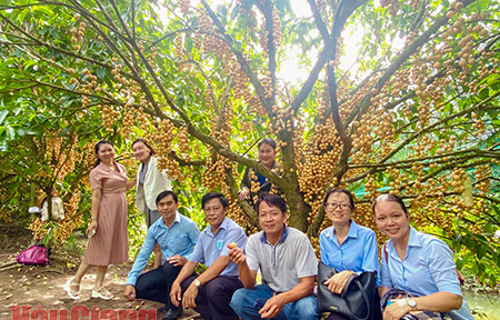 Sẵn sàng đón du khách đến Ngã Bảy thân thương