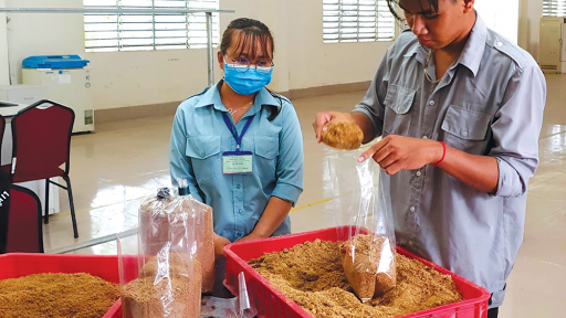Điểm sáng dạy nghề vùng đồng bào dân tộc thiểu số