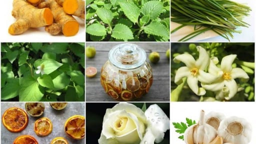 Một số bài thuốc thanh lọc phổi hiệu quả trong dân gian