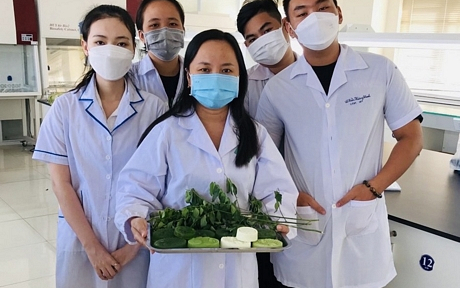 Nâng tầm giá trị cho rau bồ ngót