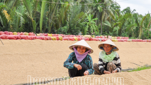 Lúa gạo đang có cơ hội lớn