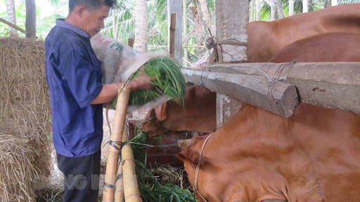 Cần cù lao động, vươn lên thoát nghèo bền vững