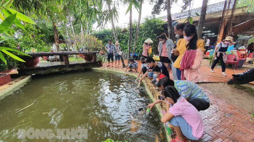 Du lịch Bến Tre đón trên 64 ngàn lượt du khách dịp lễ