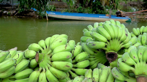 Quà quê tuổi nhỏ