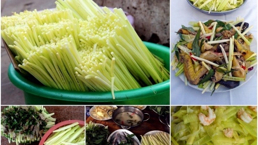 Năn bộp - món quà từ vùng đất phèn mặn