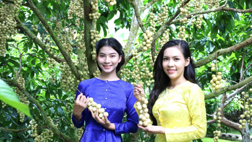 Cần Thơ: Sắp diễn ra Ngày hội du lịch sinh thái Phong Điền