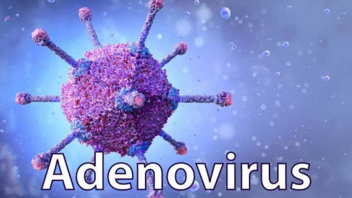 Dấu hiệu trẻ nhập viện do mắc Virus Adeno ngày càng tăng