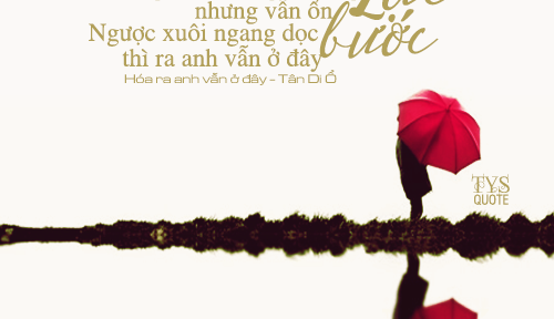 Những trích dẫn 