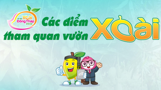 Đồng Tháp: 10 điểm tham quan vườn xoài phục vụ khách tham quan