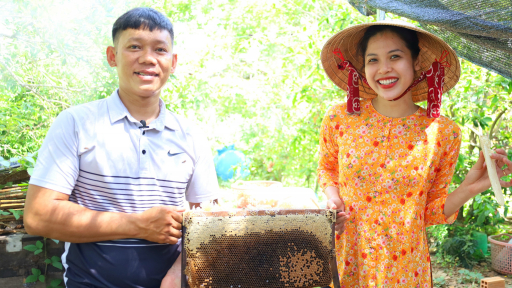 Video: Cùng người đẹp Trần Khả Di trải nghiệm thu hoạch Mật Ong Cồn Sơn