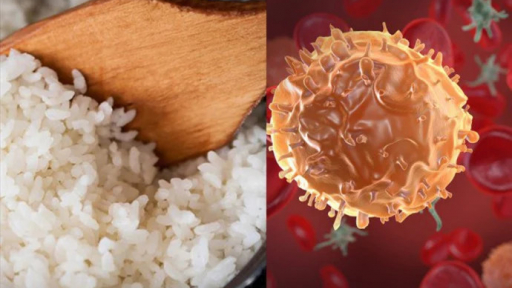 Thực hư ăn cơm nguội có thể gây ung thư