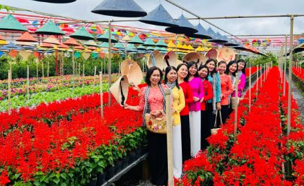 Trải nghiệm Đồng Tháp với 6 tour du lịch dịp Lễ hội Sen năm 2024