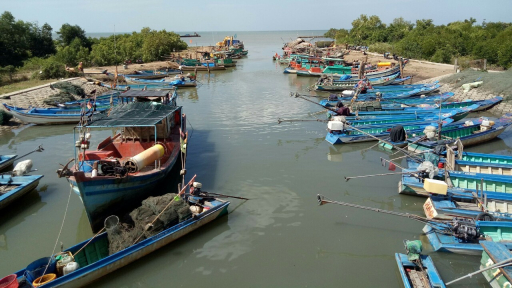 11 hành vi khai thác, mua bán, vận chuyển trái phép thủy sản bị truy cứu trách nhiệm hình sự