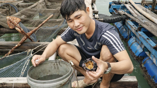 Săn nhum ở Hòn Nghệ