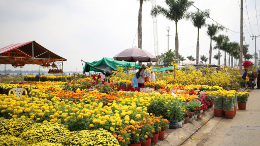Cần Thơ miễn tiền thuê mặt bằng cho nông dân và tiểu thương tham gia chợ hoa