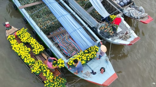 Cần Thơ: Tổ chức Chợ hoa xuân miễn phí mặt bằng, điện, nước tại Chợ nổi Cái Răng