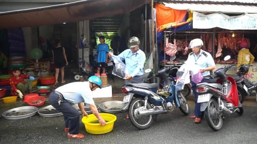 Cà Mau: Xử lý nghiêm mua bán, sử dụng cá non tự nhiên