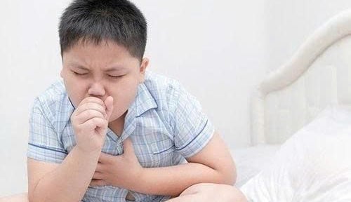 Cà Mau: Triển khai ngăn ngừa dịch bệnh ho gà bùng phát