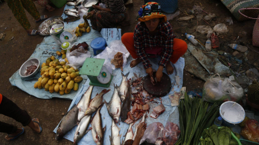 Chợ cá ở Stung Treng có gì đặc biệt?