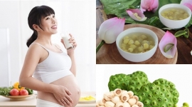 Lợi ích kỳ diệu của hạt sen đối với phụ nữ mang thai