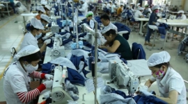 Bạc Liêu: Tạm dừng hoạt động Nhà máy may mặc của Công ty Pinetree