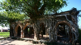 Ngôi đình cổ trăm tuổi nằm trong lòng cây bồ đề tại Tiền Giang
