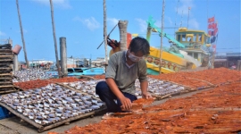 Cà Mau: Làng nghề làm khô biển Cái Đôi Vàm vào vụ Tết