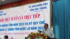 Bộ Nông nghiệp tổ chức Hội nghị phát triển ngành tôm năm 2022