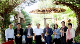 Đồng Tháp: Hợp tác đưa thực tập sinh sang Nhật làm việc lĩnh vực nông nghiệp