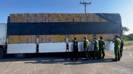 An Giang: Lực lượng liên ngành bắt xe tải chở 722 thùng khẩu trang y tế không rõ nguồn gốc