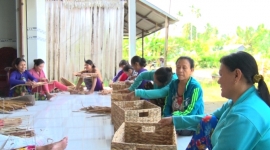 Hậu Giang: Ra mắt Tổ hợp tác đan đát lục bình tại xã Hỏa Tiến