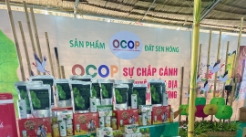 Đồng Tháp đẩy mạnh quảng bá, kết nối thị trường nông sản và sản phẩm OCOP