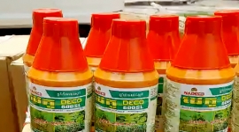 An Giang: Bắt quả tang xe chở thuốc bảo vệ thực vật chứa hoạt chất cấm sử dụng tại Việt Nam