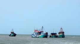 Cà Mau: Tàu thuyền neo đậu vì thiếu nhiên liệu ra khơi