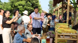Đồng Tháp: Chợ quê cồn Tân Thuận Đông nườm nượp khách đến tham quan