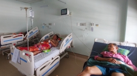 Kiên Giang: Một ngư dân tử vong, hai người bệnh nặng nhập viện do nhậu cá nóc