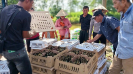 Cà Mau: Tuyên truyền giảm nghèo qua Zalo tại xã Nguyễn Phích