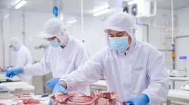Cần Thơ: Cơ hội làm việc tại nước Úc với nghề pha lóc thịt